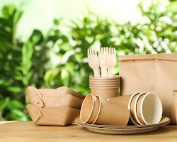 Eco-friendly packaging solution 3